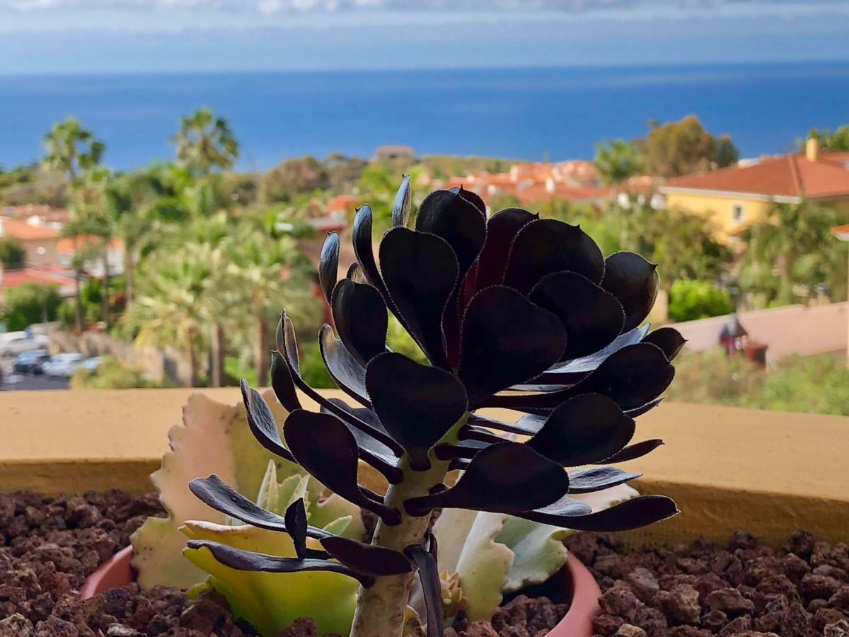 Terraza Vista Oceano La Quinta Apartment Santa Ursula  Bagian luar foto